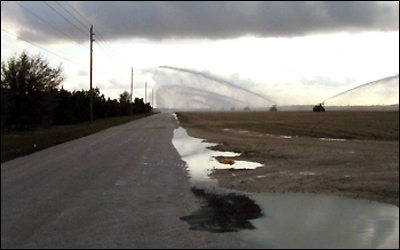 irrigation