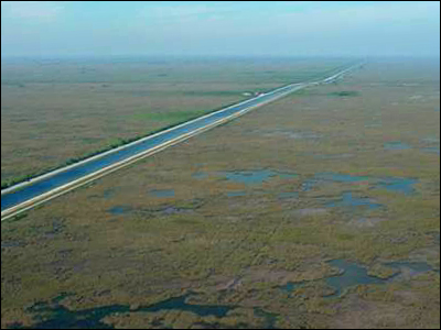 Everglades