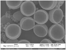 SEM images of hemispherical particles of polystyrene latex 