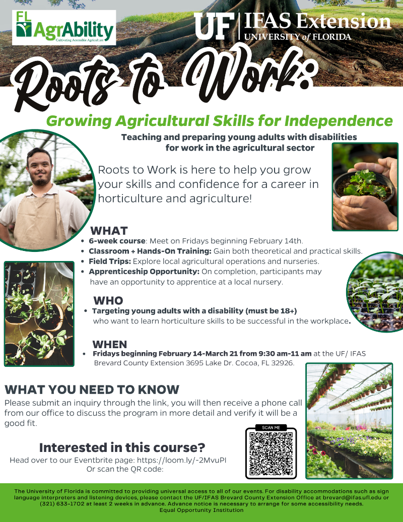 Roots to Work flyer