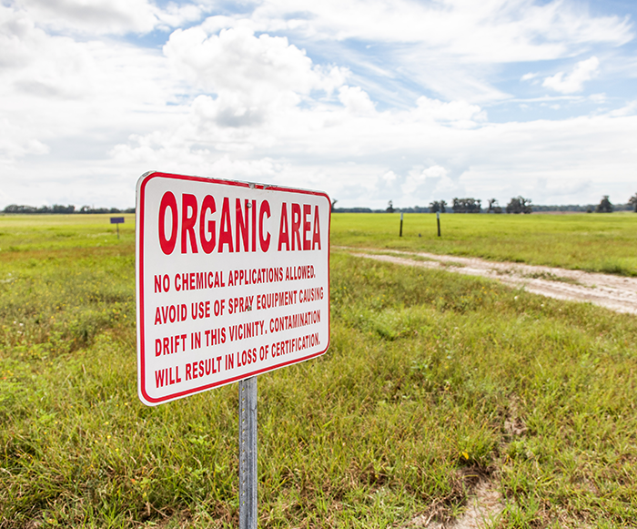 A photo of a field at the Citra research center with an ORGANIC AREA sign in the foreground.