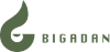 Bigadan logo