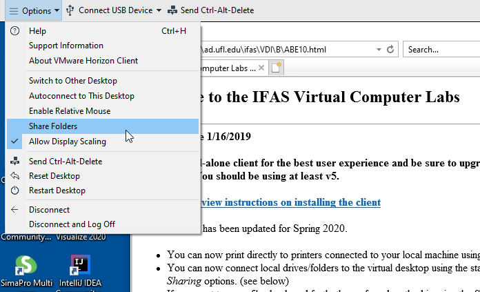 A screenshot of the Options menu in VMWare Horizon desktop client.