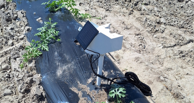 Soil Moisture Monitoring